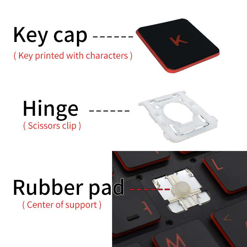 Cerniera di Ricambio per Tasti - Gaming Keyboard Asus recensione e prezzo